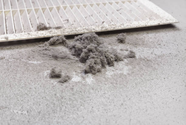 Best Air Duct Cleaning Near Me  in Fort Belknap Agency, MT