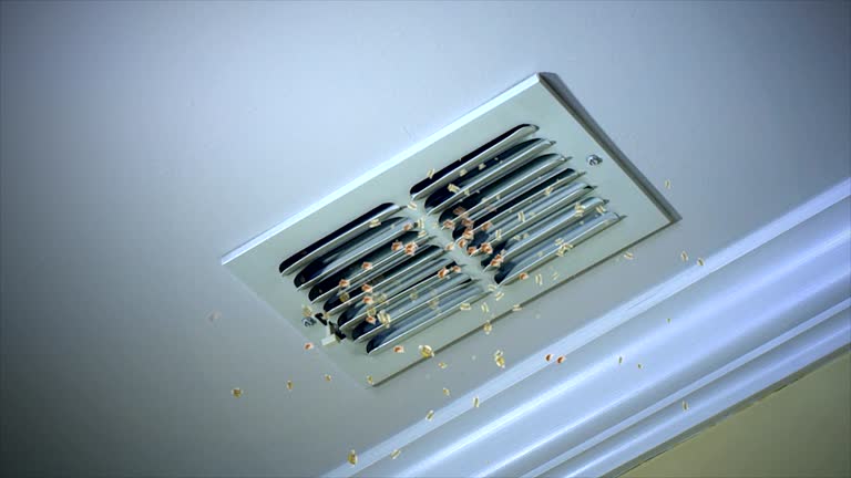 Best HVAC Duct Inspection Services  in Fort Belknap Agency, MT