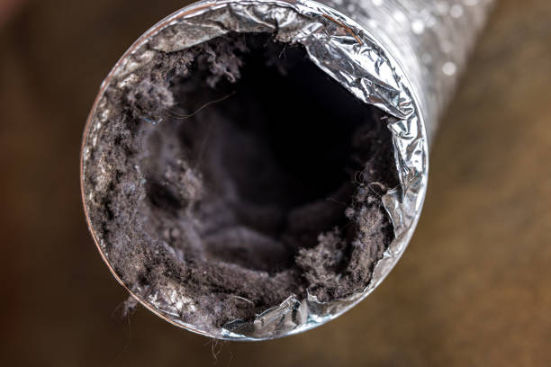 Best Professional Duct Cleaning Services  in Fort Belknap Agency, MT