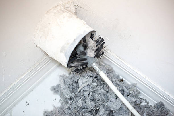 Best Air Vent Cleaning Services  in Fort Belknap Agency, MT